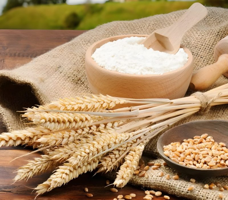 Wheat-Flour (1)