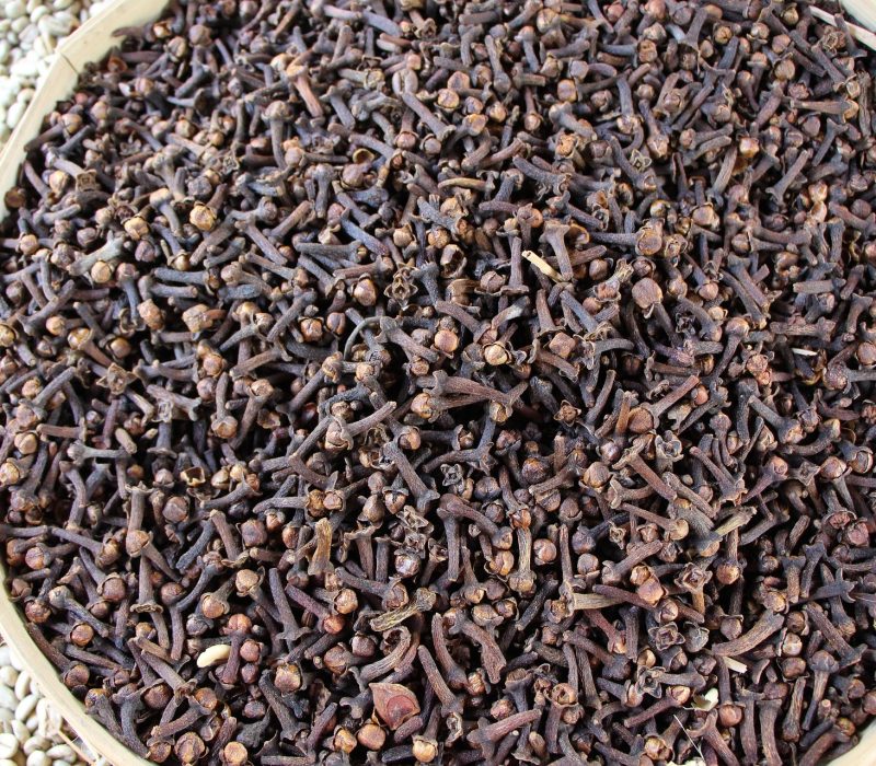 carnation-2718473_1920