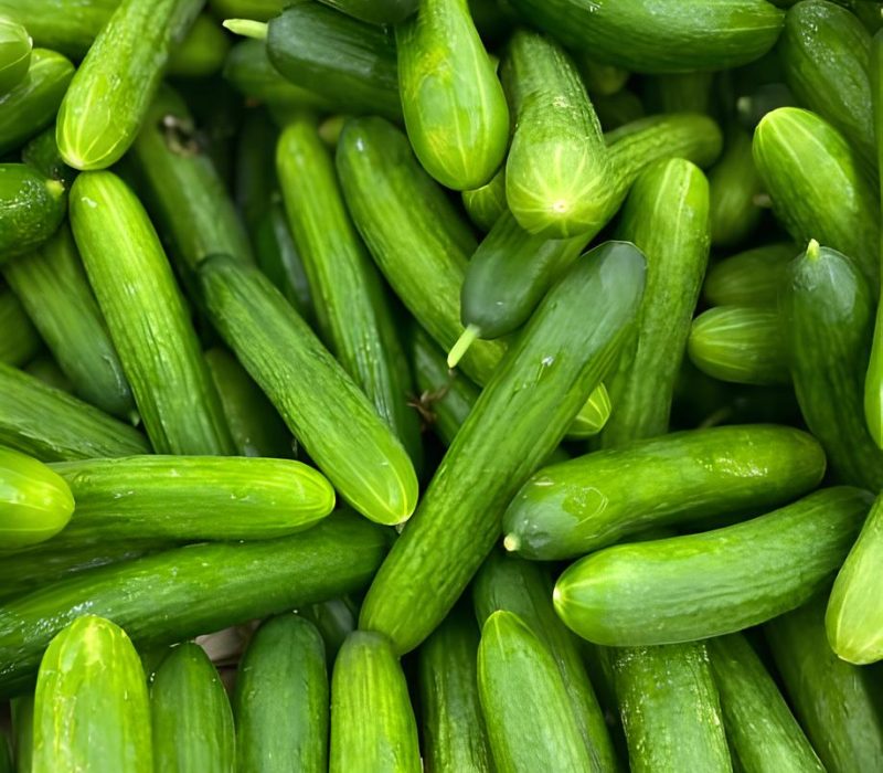 istockphoto-1267443825-612x612 (1)