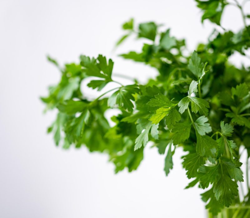 parsley-4688651_1280