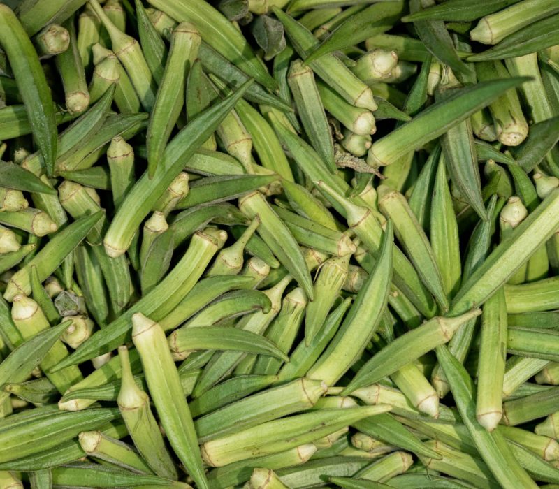 pexels-aboodi-17975554