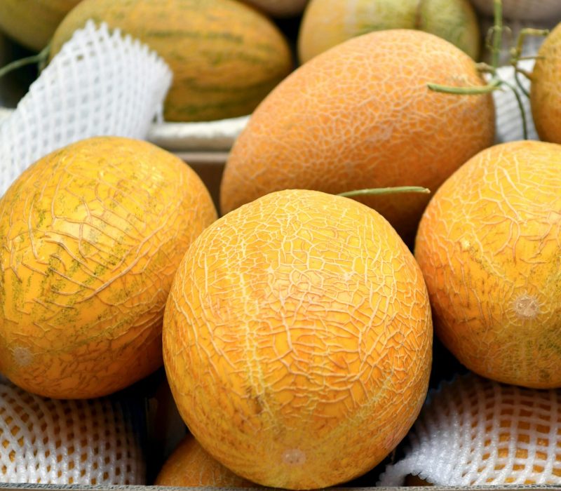 pexels-chente8888-18444194