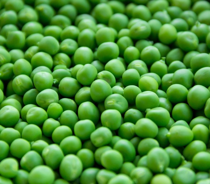 pexels-pixabay-255469